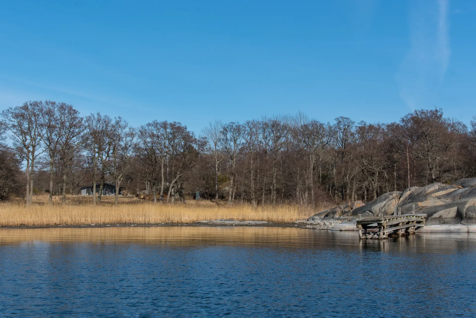 d65da3d0-2293-11eb-a876-0fbb7942feb5.webp
