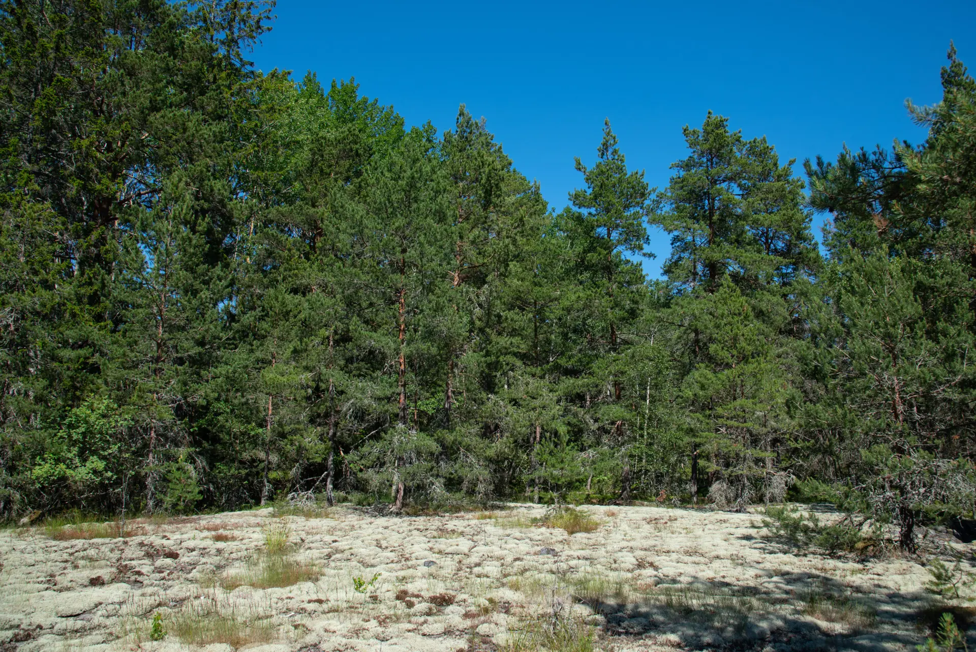 d16386c0-1967-11ed-9162-13560a852386.webp