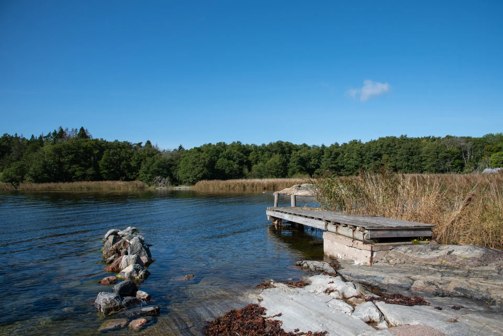 54917b40-4e98-11ee-95f6-a93658cac657.webp