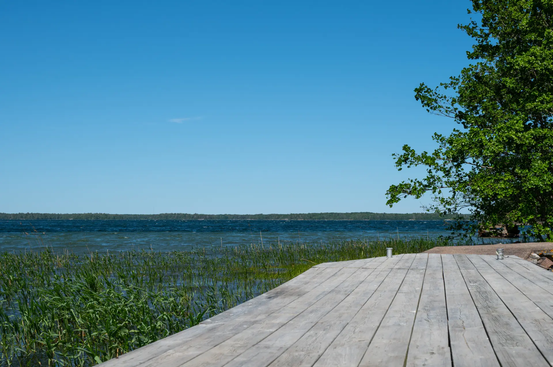 ba3063f0-70f4-11f0-8dfc-c1738239dda8.webp
